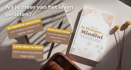 Mindfulness werkboek